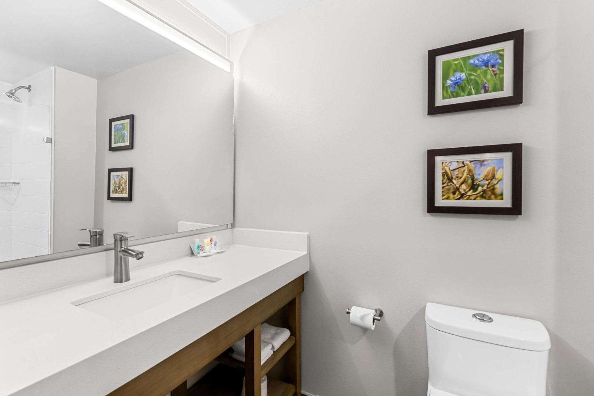 Comfort Suites Columbia Kültér fotó